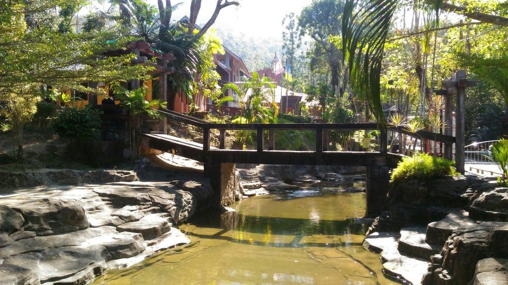 Teluk Bahang Forest Eco Park