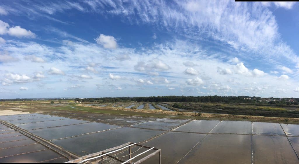 Salinas (vista do terraço do núcleo museológico do Sal)