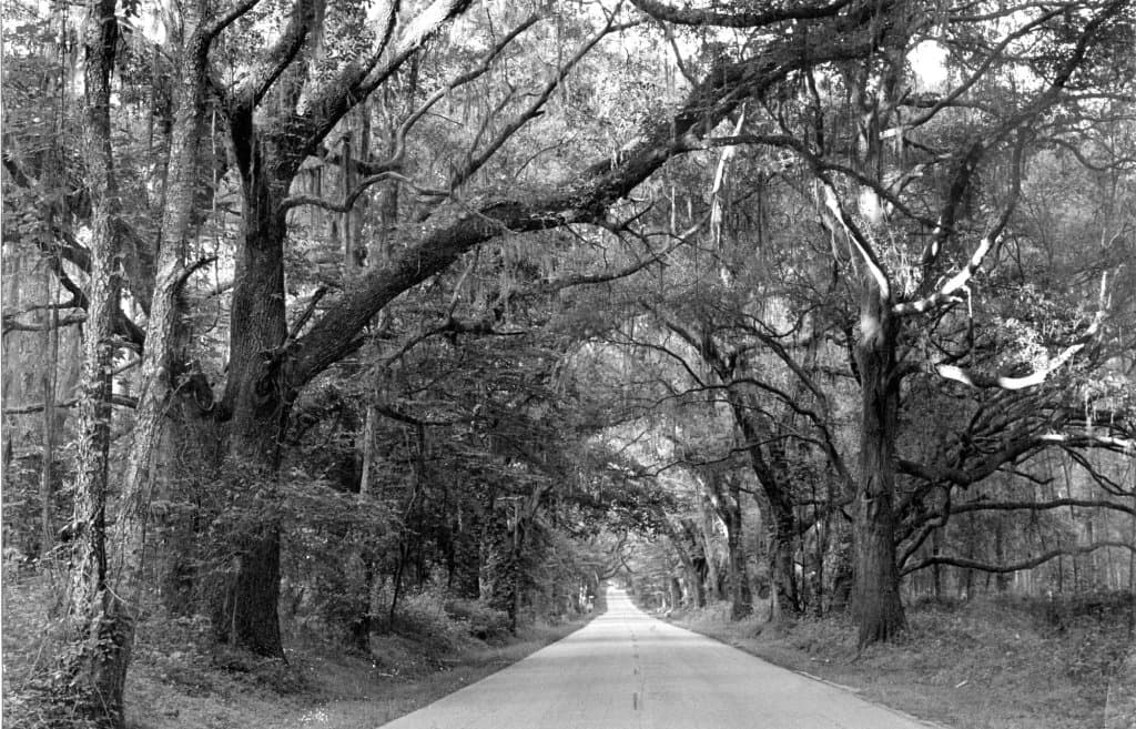 approaching Interstate 10 on Miccosukee Road