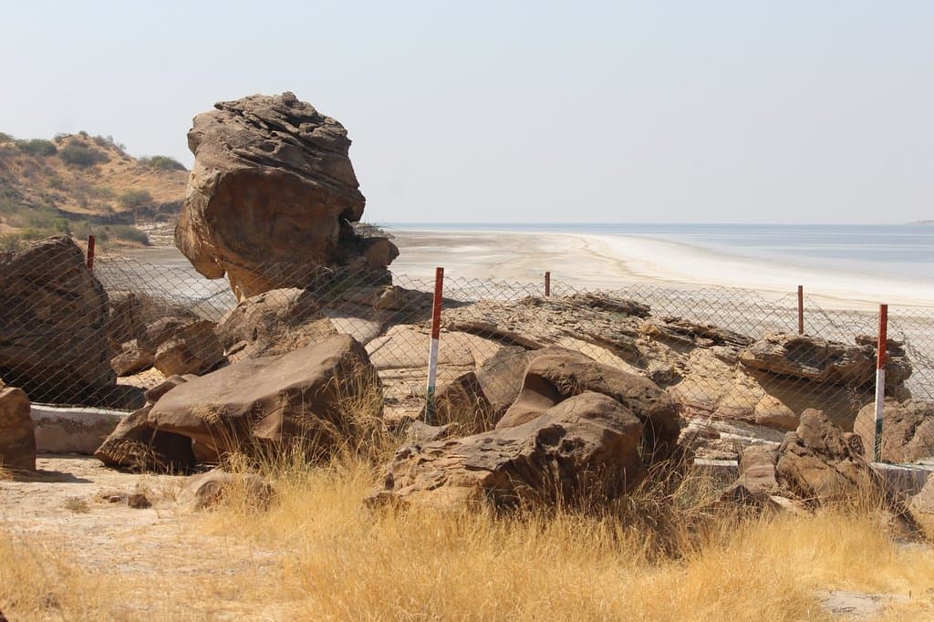 Great Rann Of Kutch and wood fossil park near Dholavira