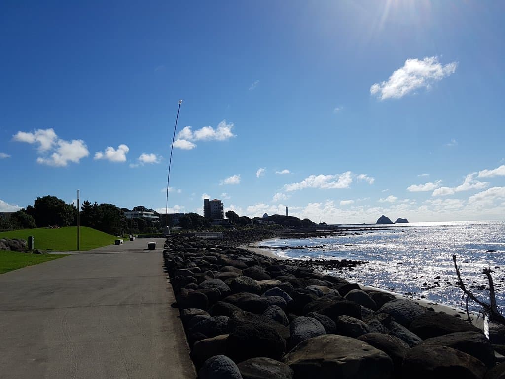 Wind Wand , New Plymouth