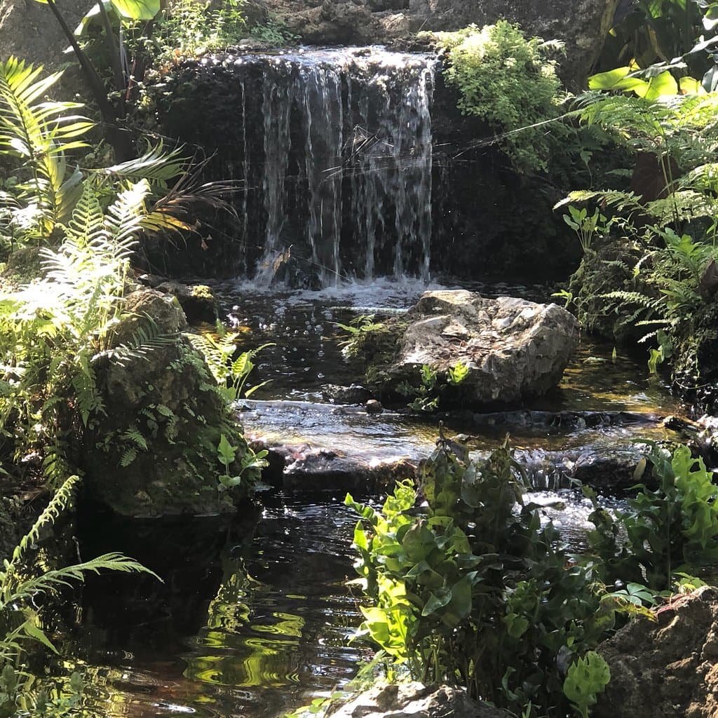 Deerfield Beach Arboretum