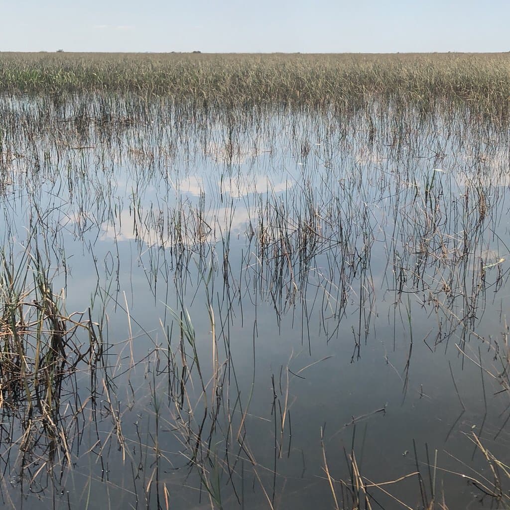 Experience an Airboat Ride