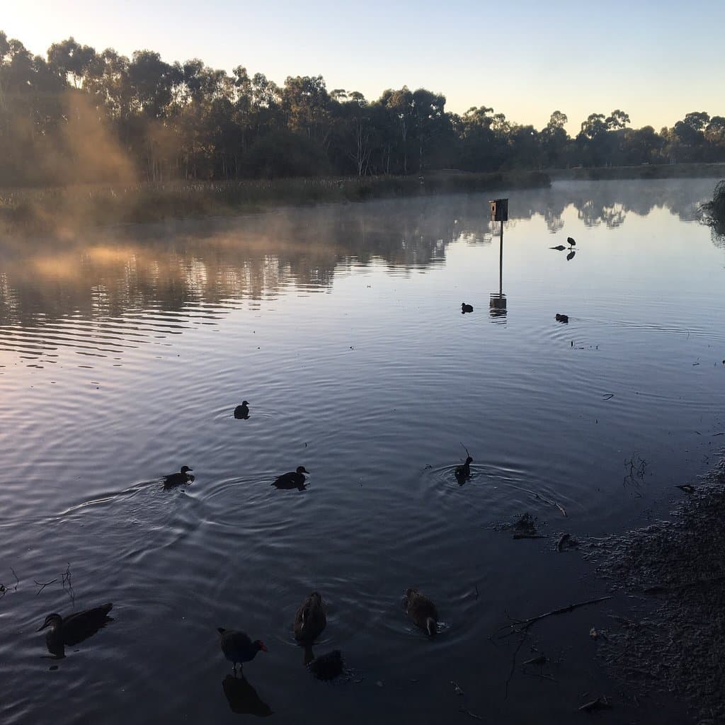 Bird hide easily reached (400m) from entrance on service road at end of Knights Drive where it j
