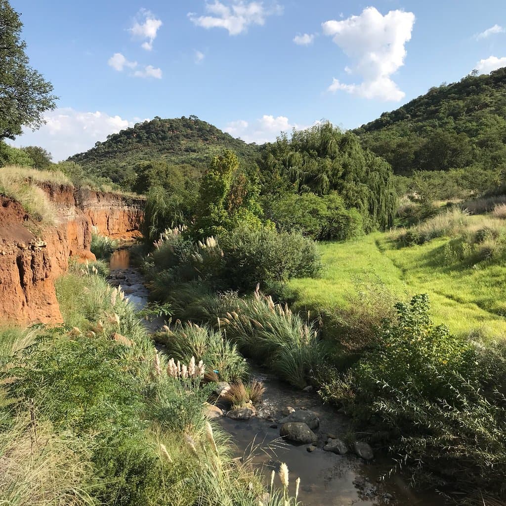 Hike at Klipriversberg Nature Reserve
