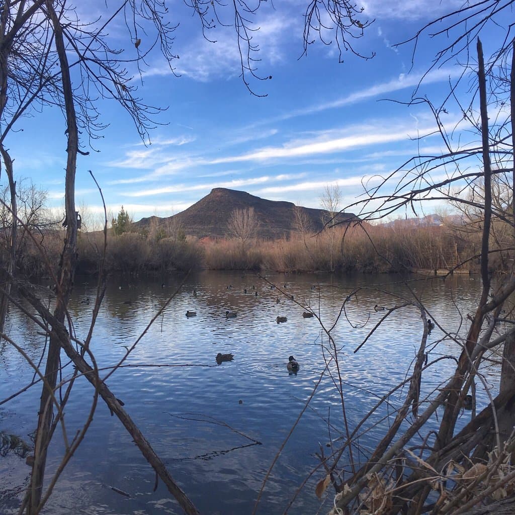 Tonaquint Nature Center St George