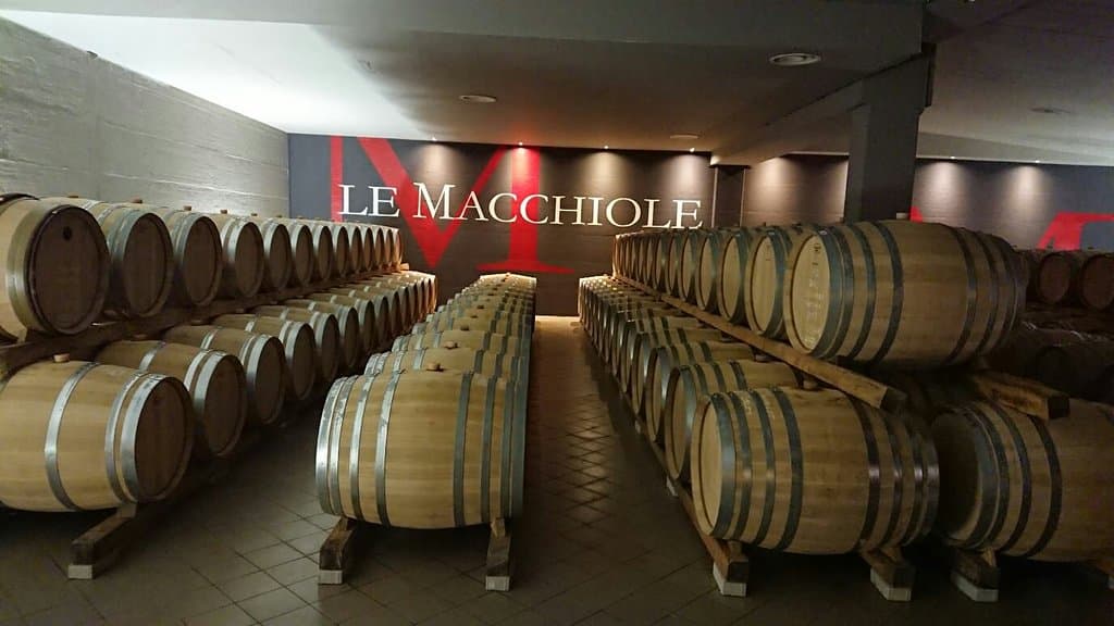 Via Bolgherese Scenic Wine Road