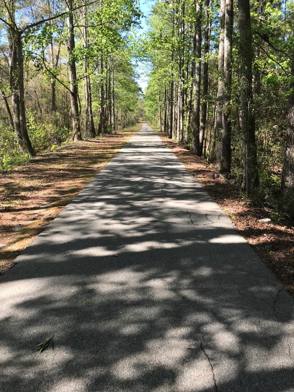 Gainesville-Hawthorne State Trail