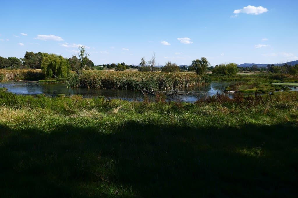 Jerrabomberra Wetlands