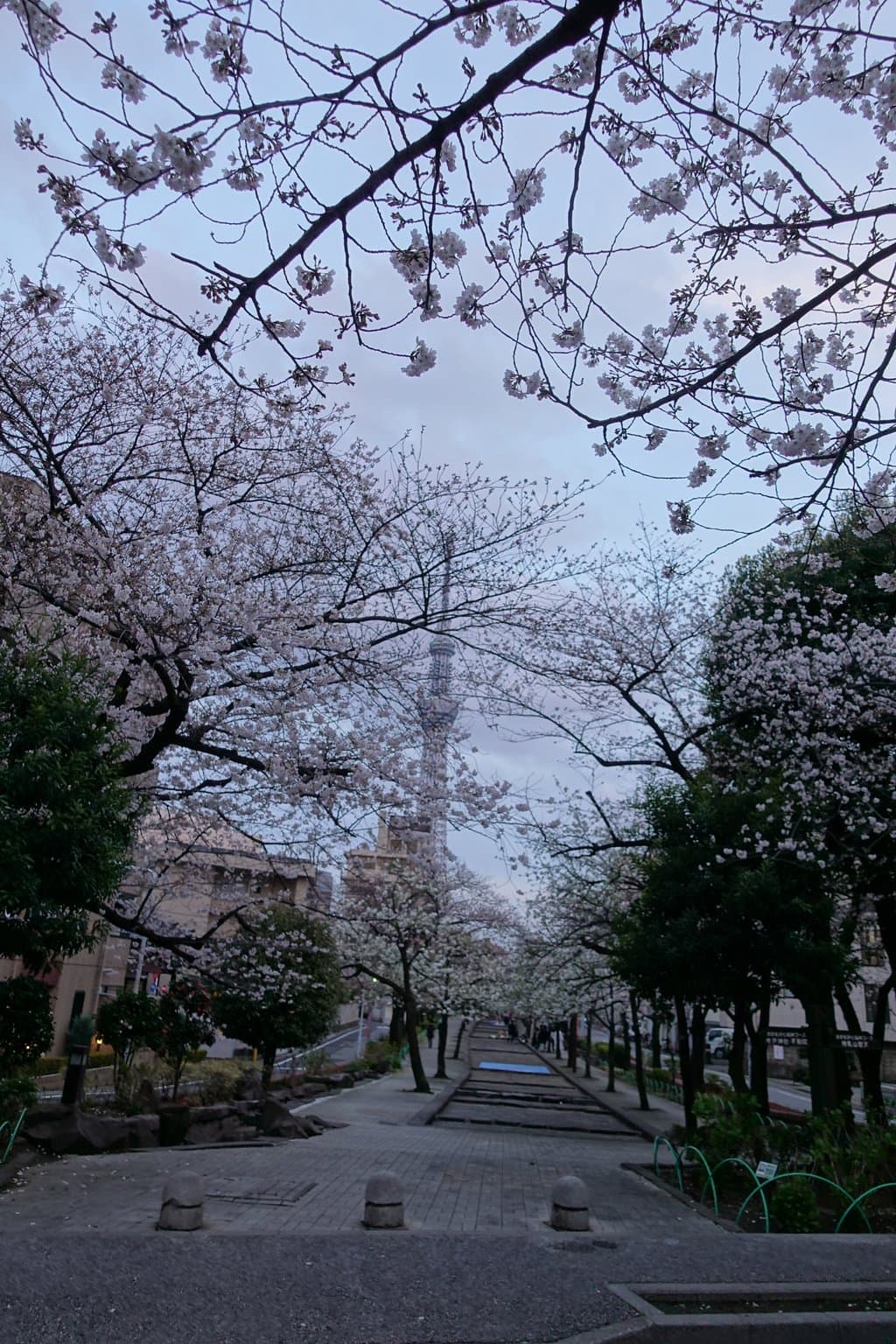 何処と無く寛げない雰囲気が漂っている