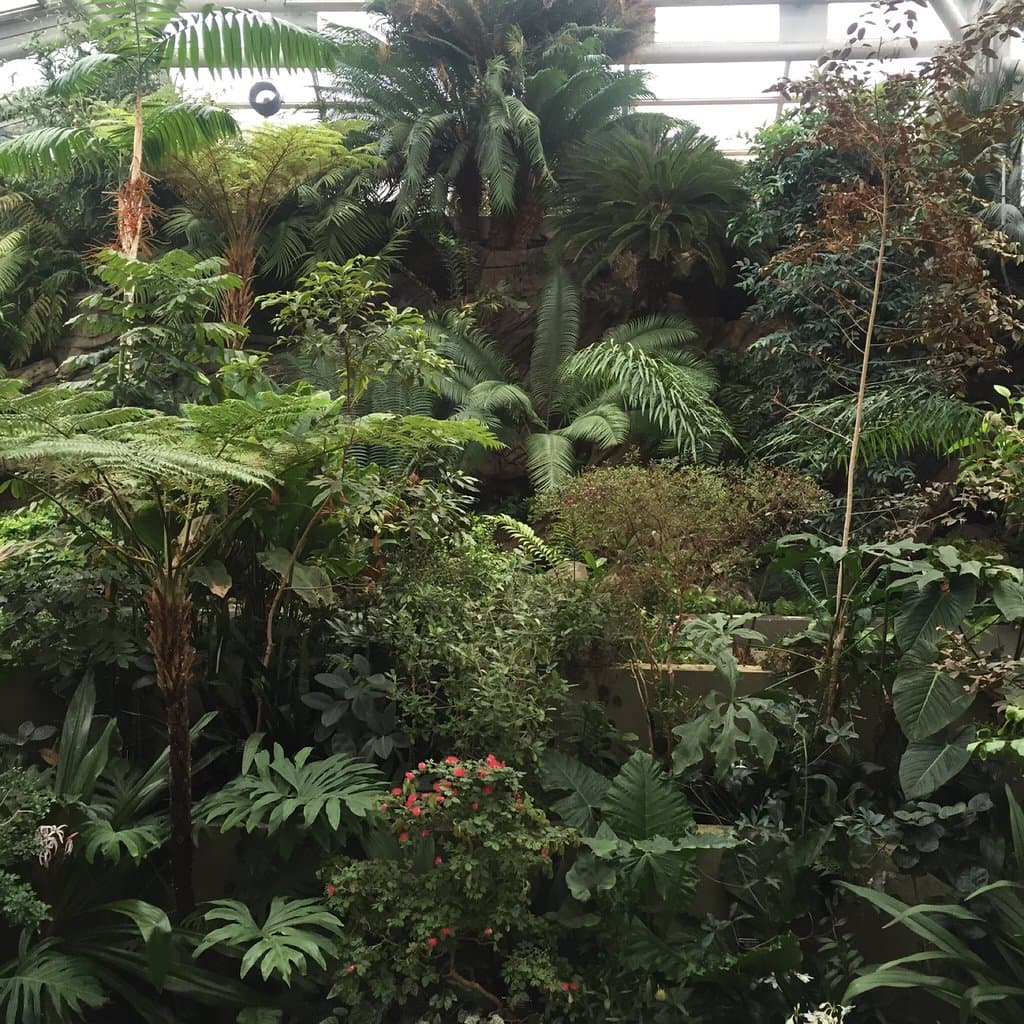 6BC Botanical Garden