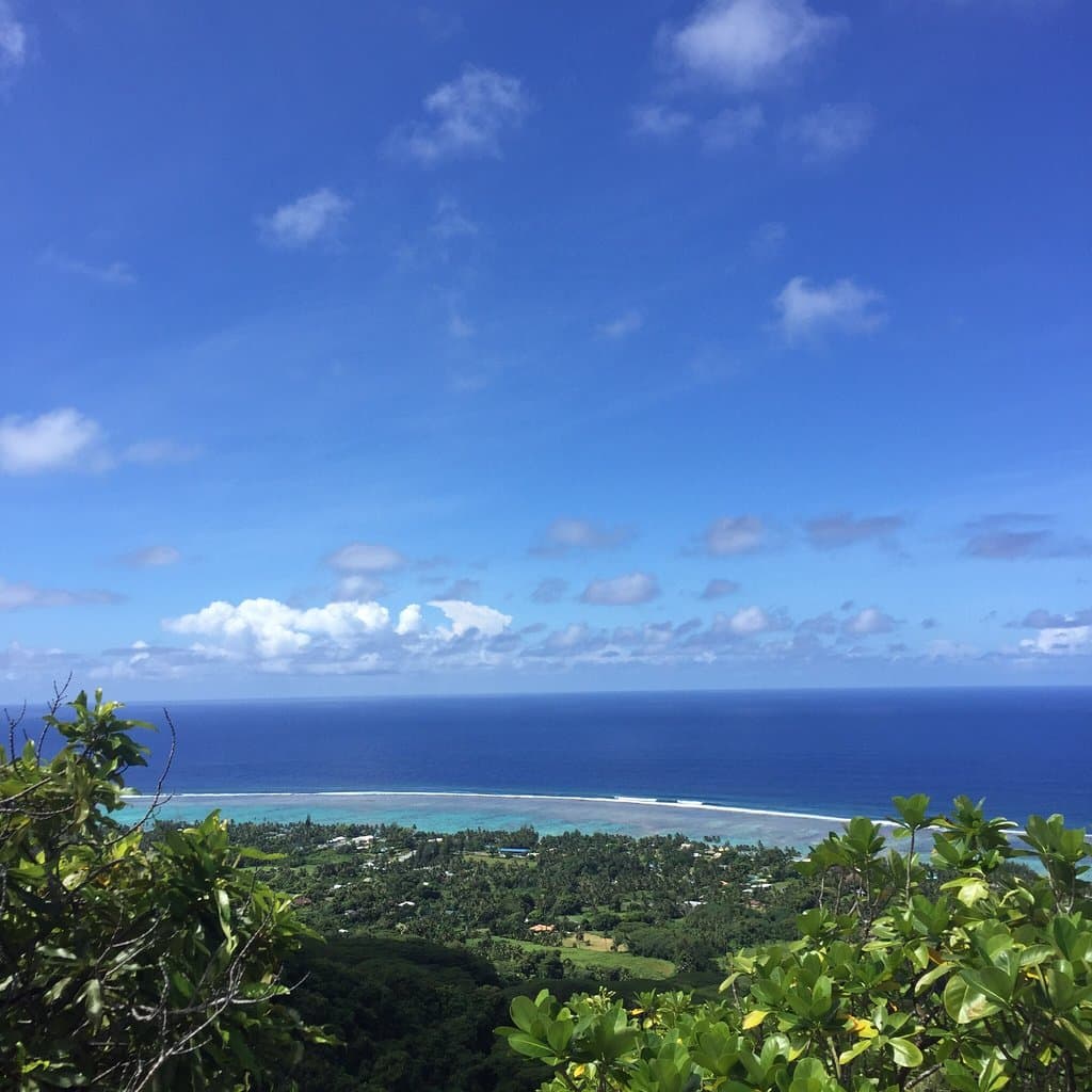 Takitumu Conservation Area