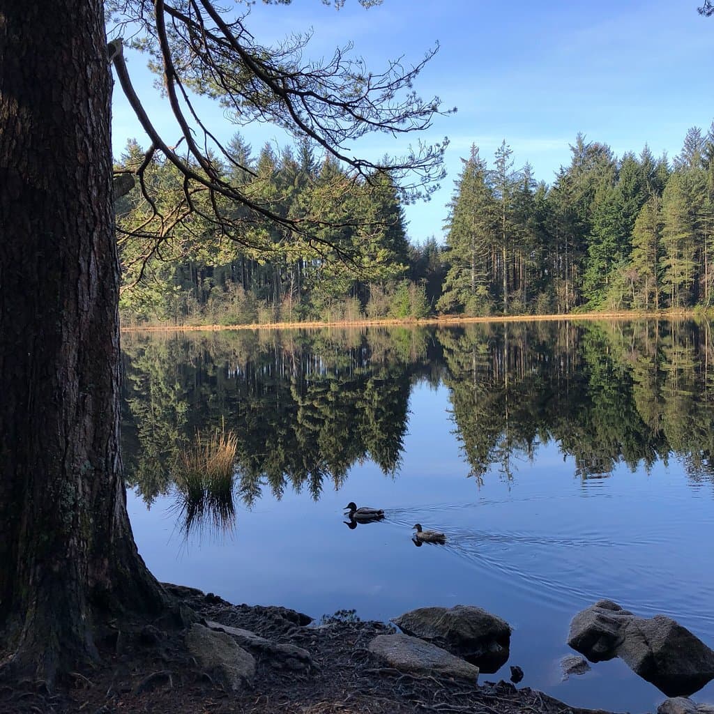 Dalbeattie Forest 7stanes