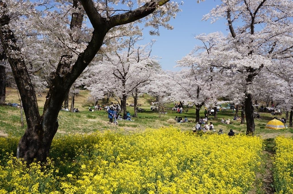 Musashi Kyuryo National Government Park