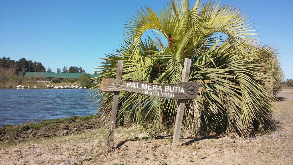 Bosque de los Constituyentes