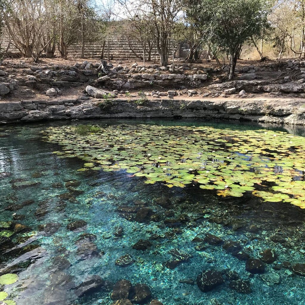 Cenote Xlacah Dzibilchaltun Mexico