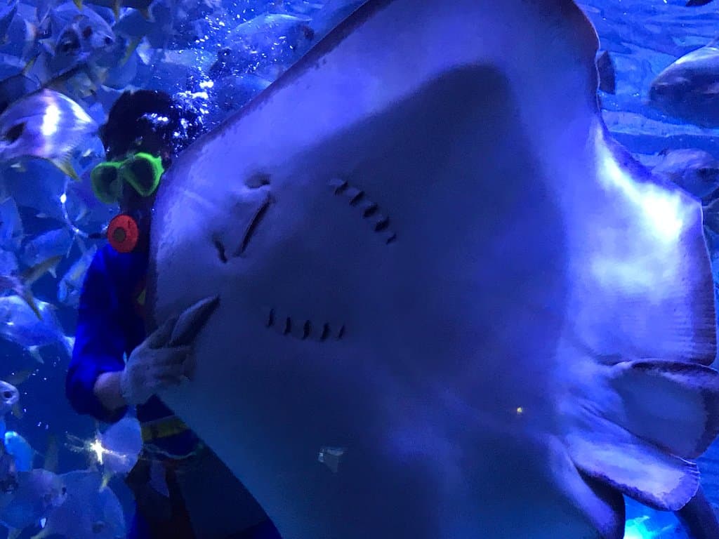 Beihai Marine Culture Museum