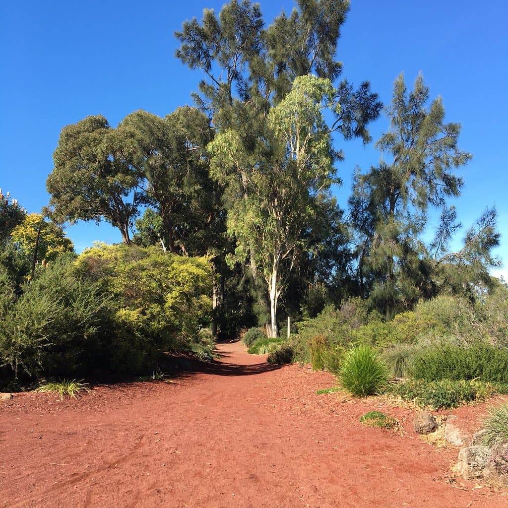 Kevin Hoffman Walk