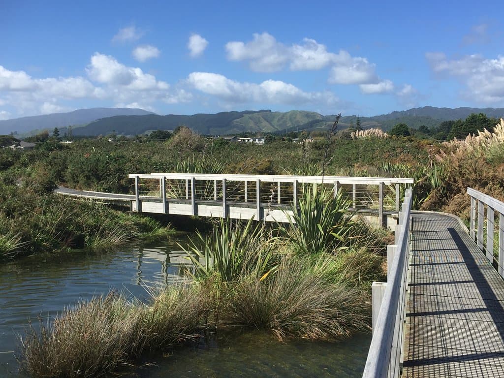 this is typical of the walk we did