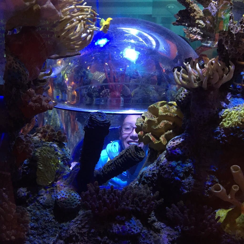 SEA LIFE Aquarium Carlsbad