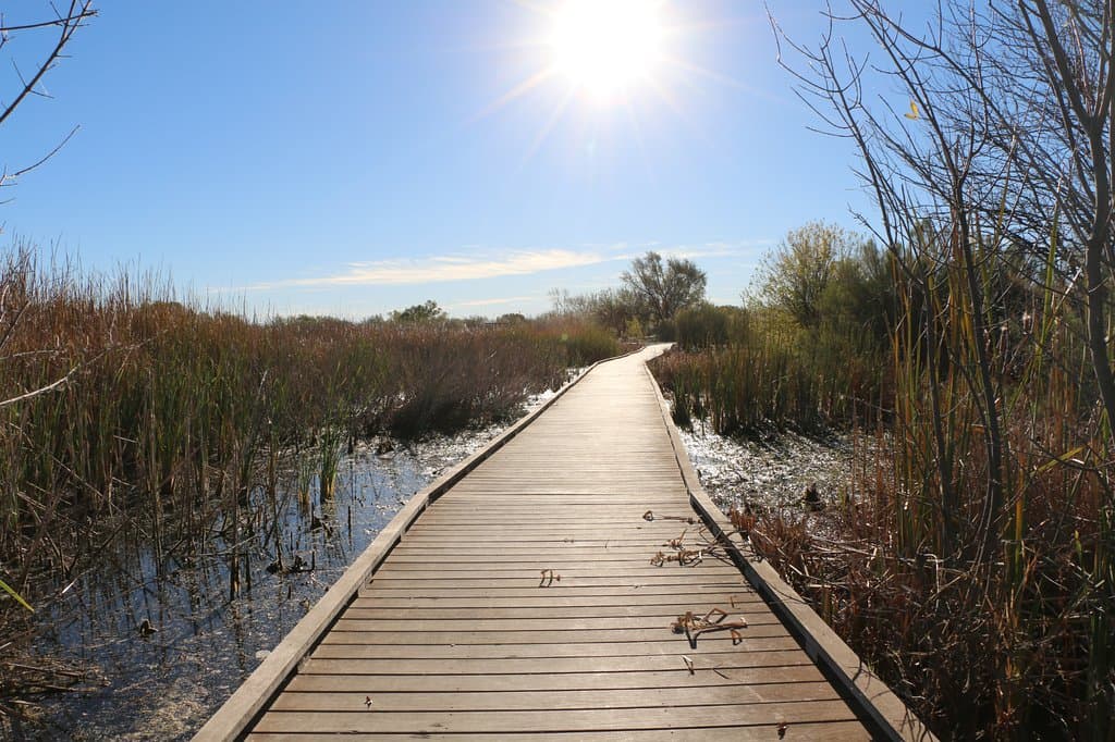 Boardwalk