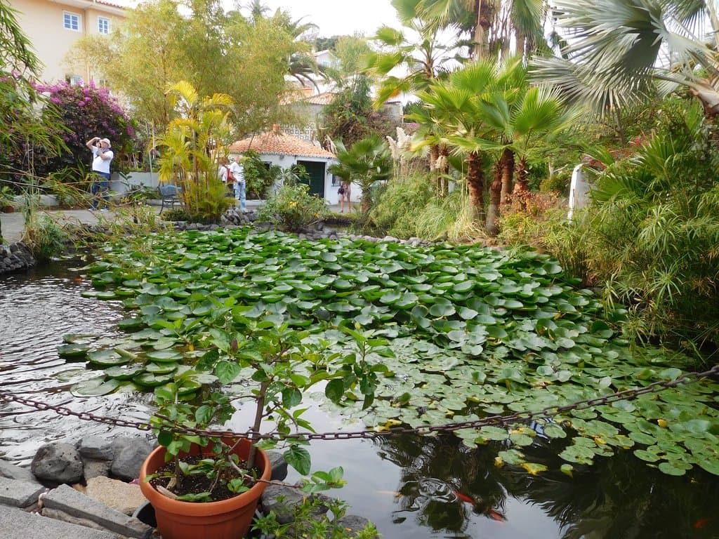 Sitio Litre Orchid Garden