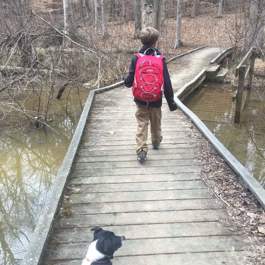 RibbonWalk Nature Preserve