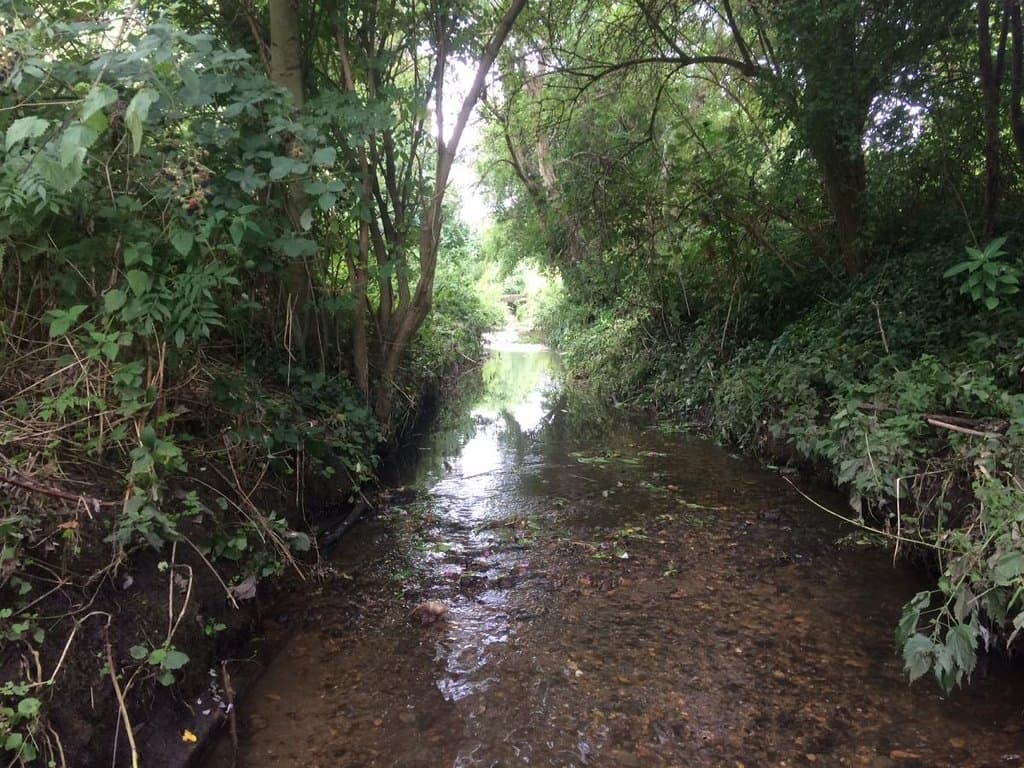 The Tolworth Brook