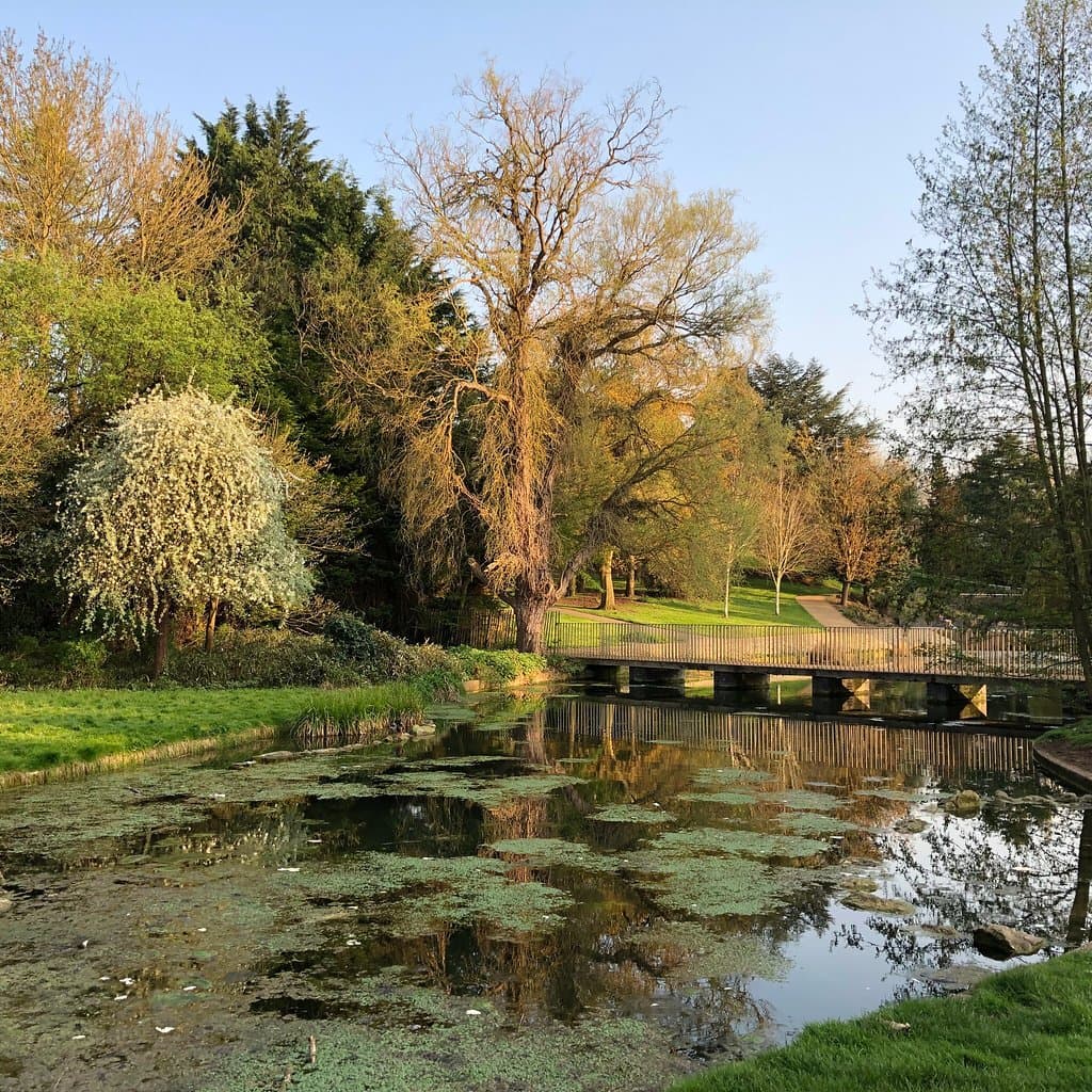 Town park in bloom - April 2018