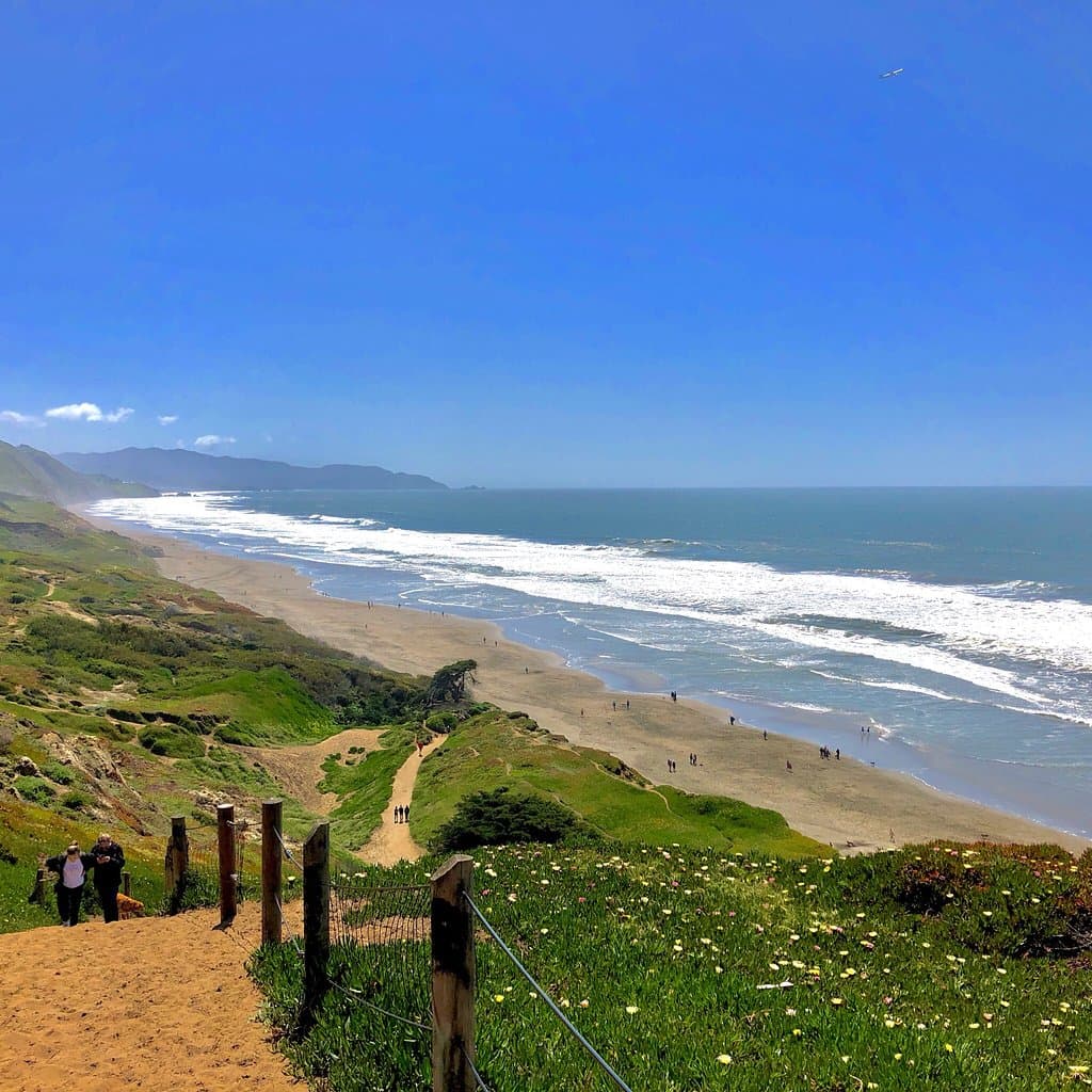 This is how gorgeous Fort Funston is...can’t be beat for an off-leash dog spot!