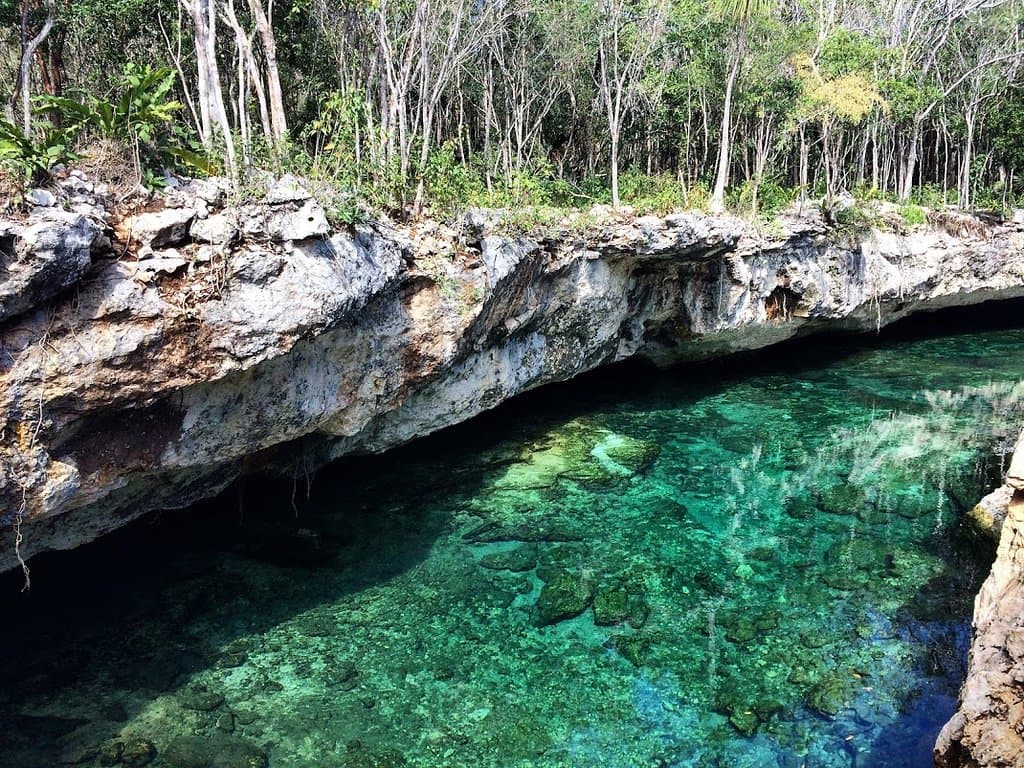 Cenotes Casa Tortuga Tulum, March 2018