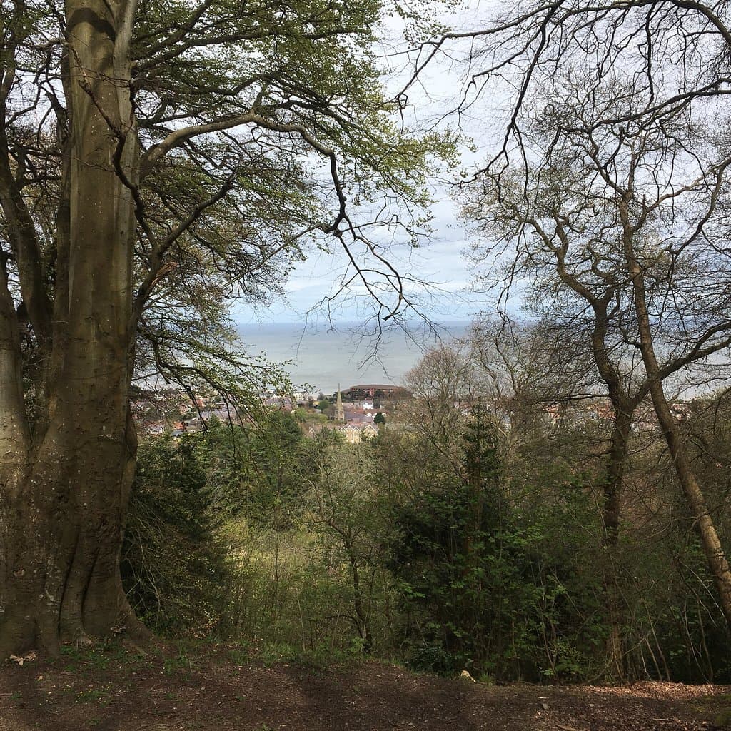 Pwllycrochan Woods Local Nature Reserve