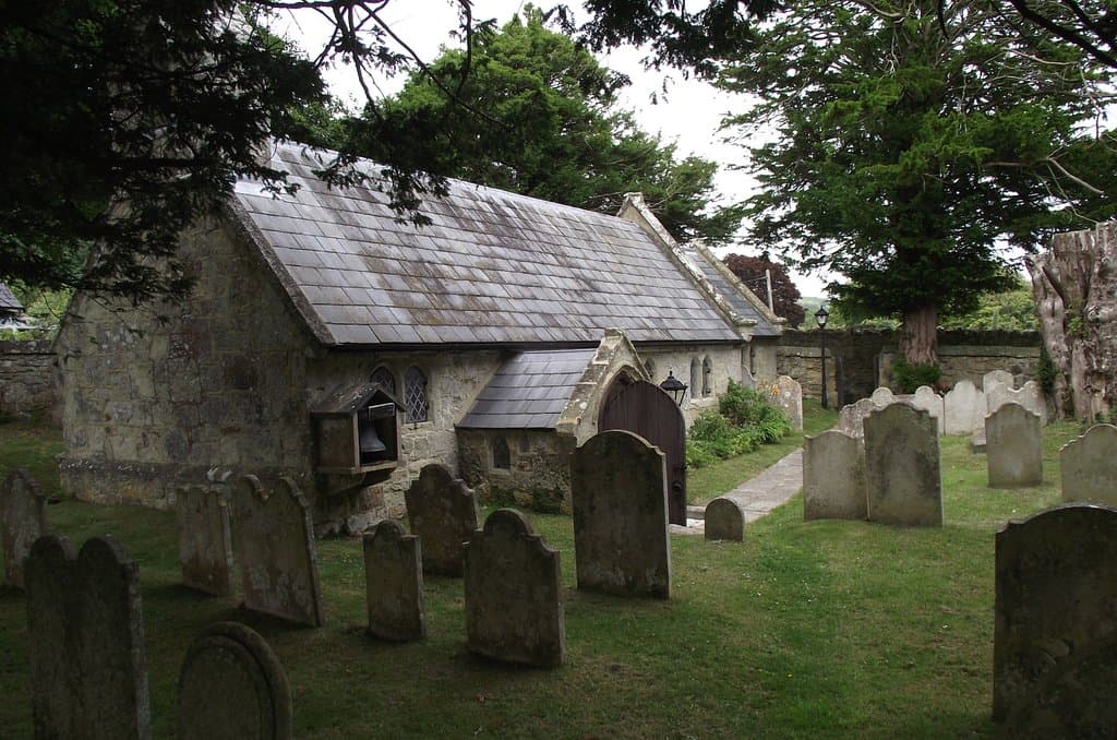 Nestled amongst the trees and stones