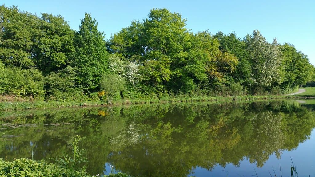 Parc des Gayeulles