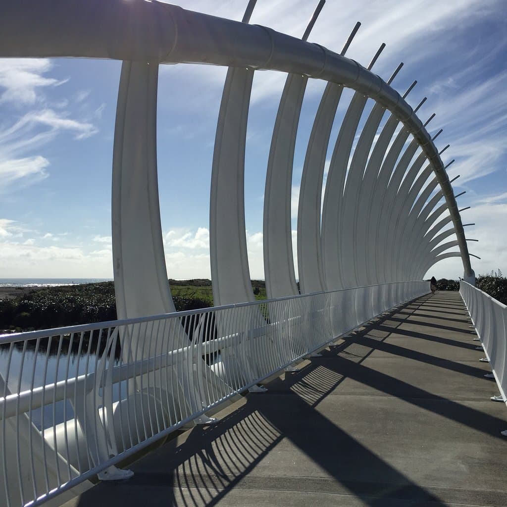 Te Rewa Rewa Bridge