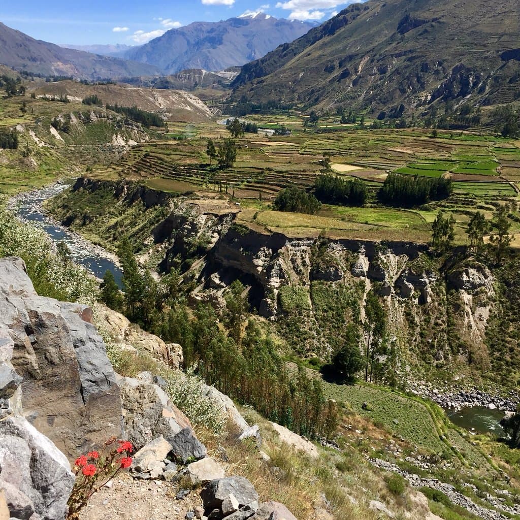 Uyo Uyo Archaeological Site