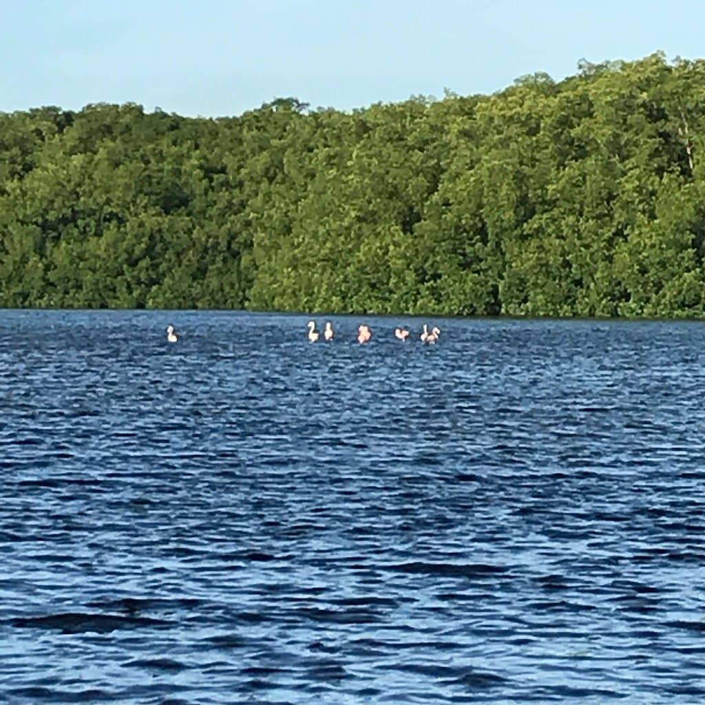 Caroni Bird Sanctuary