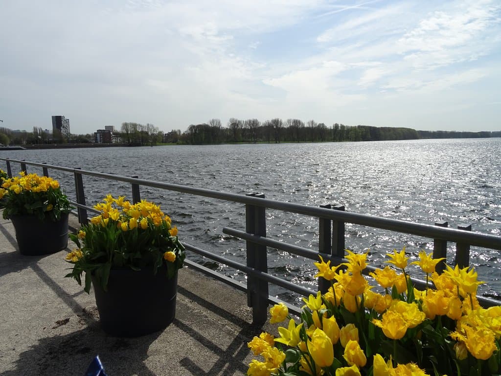 Sloterplas tijdens Amsterdam Tulip Festival 