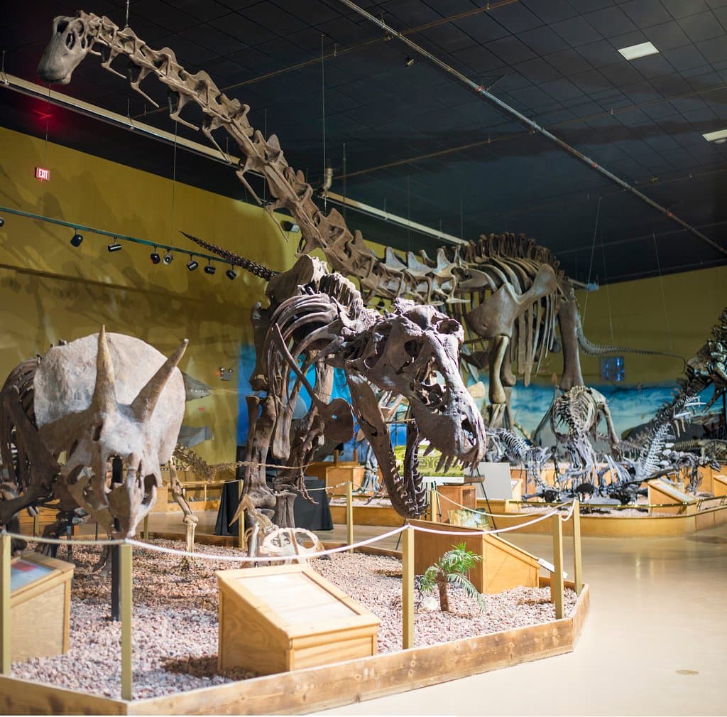 Visit with the "locals" from Wyoming's prehistoric past