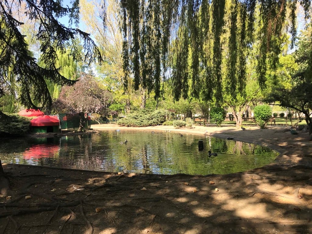 Estanque del parque.