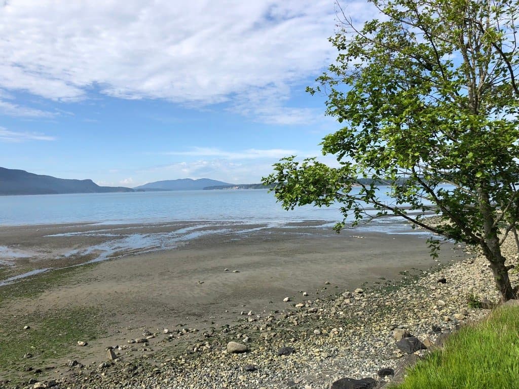 Looking north from the trail with LUMMI Island in the distance.