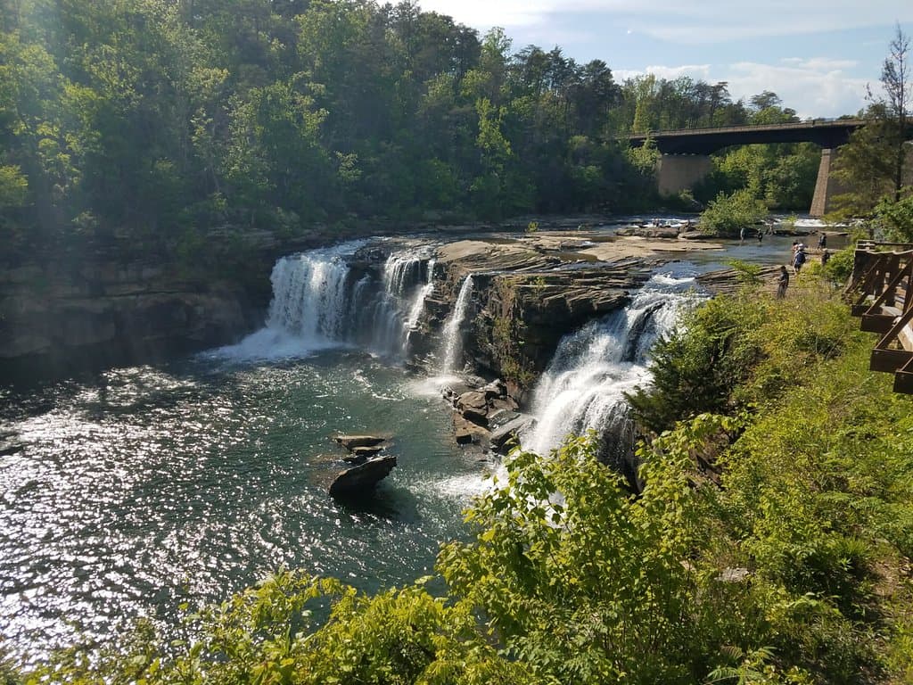 The view from the walkway access provided by the park