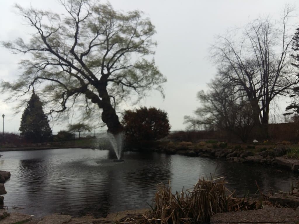 Visit the Art Gallery of Oakville