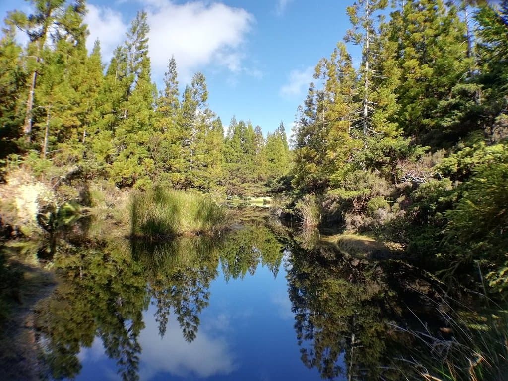 Mistérios do Pico lava fields