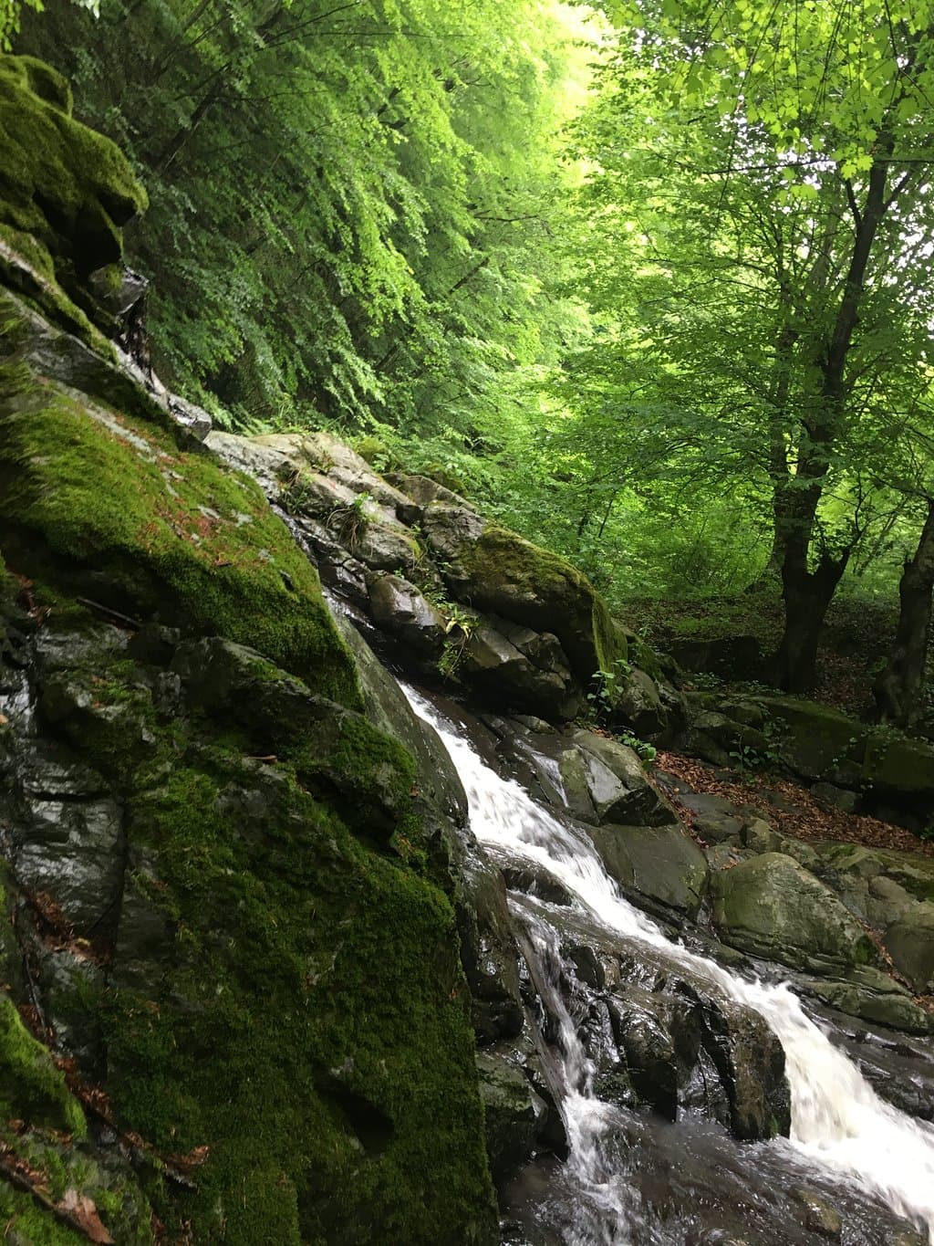 Kabaceviz Waterfalls