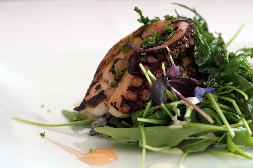 Polpo Allo Spritz - Steamed octopus, rocket, burrata, Aperol Spritz gel.