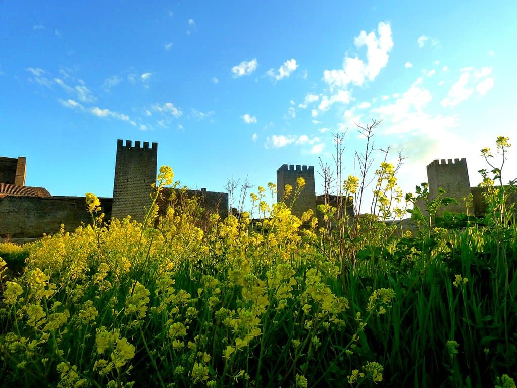 Cerco de Artajona