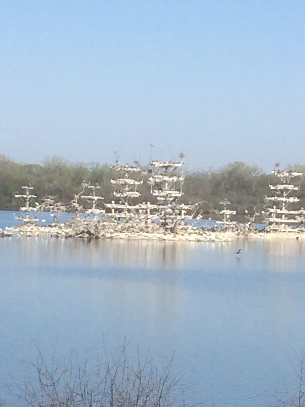 Man-made island covered with birds