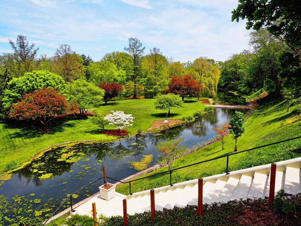 Early in the year just as things are blooming, how lovely