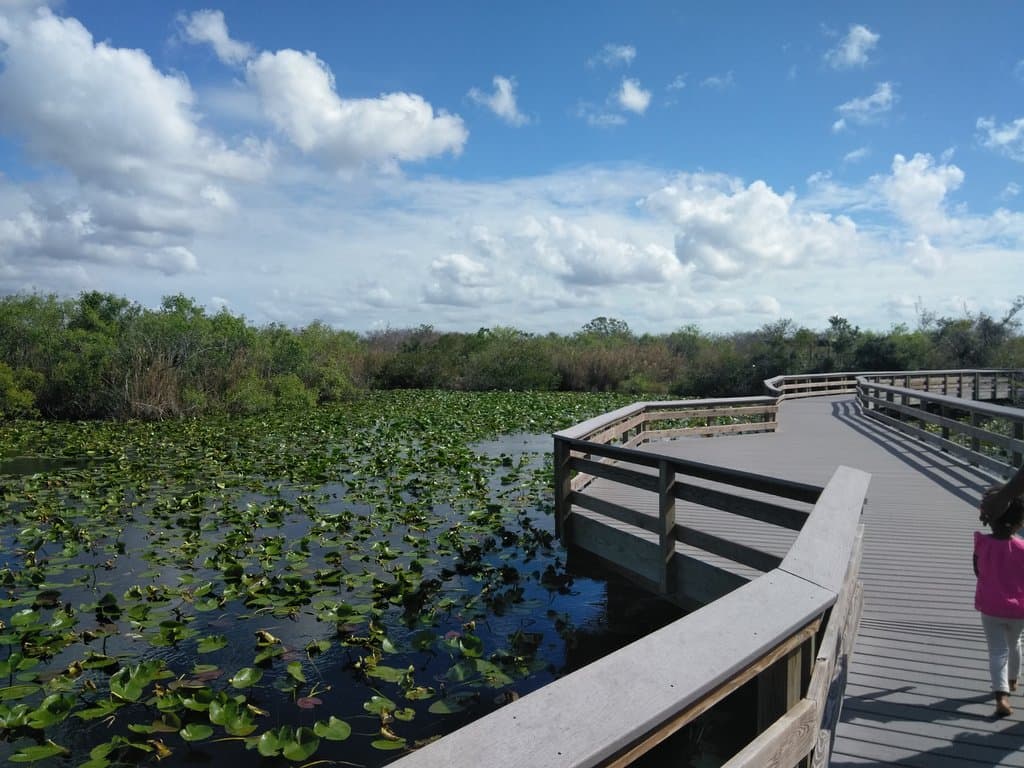 walk way